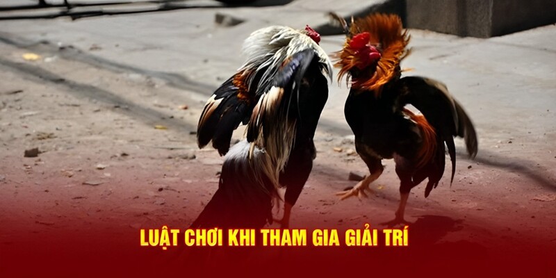 Luật chơi cần nắm vững khi giải trí tại đá gà Thomo